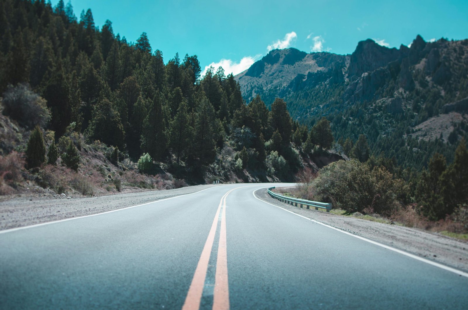 road trip